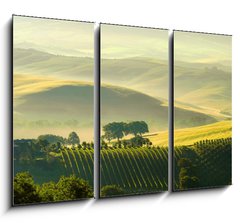 Obraz 3D tdln - 105 x 70 cm F_BB29255589 - Toskana Huegel  - Tuscany hills 38