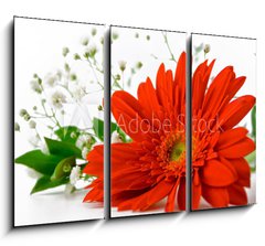 Obraz 3D tdln - 105 x 70 cm F_BB29541402 - bouquet con gerbera