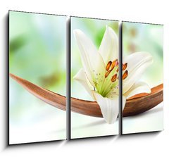 Obraz   Beautiful white lily flower on a coco palm leaf, 105 x 70 cm