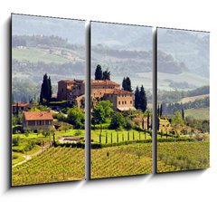 Obraz 3D tdln - 105 x 70 cm F_BB29789436 - Toskana Weingut - Tuscany vineyard 03