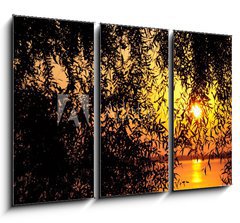 Obraz 3D tdln - 105 x 70 cm F_BB29805104 - sunset behind the tree