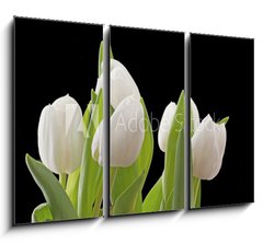 Obraz 3D tdln - 105 x 70 cm F_BB29886850 - Tulips
