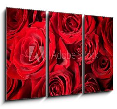 Obraz   Roses Background, 105 x 70 cm