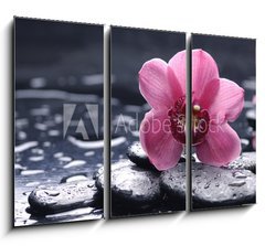 Obraz 3D tdln - 105 x 70 cm F_BB30028314 - still life with pebble and macro of orchid with water drops