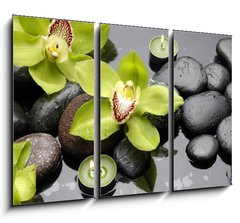 Obraz   therapy stones and orchid flower with water drops, 105 x 70 cm