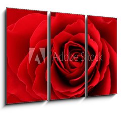 Obraz 3D tdln - 105 x 70 cm F_BB30035438 - Rote Rose - erven re