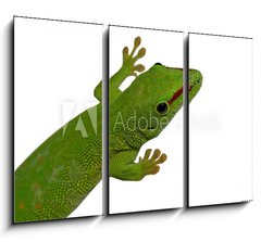 Obraz 3D tdln - 105 x 70 cm F_BB3016112 - lezard vert