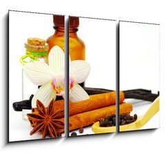 Obraz 3D tdln - 105 x 70 cm F_BB30175954 - Cinnamon, vanilla bean and star anise