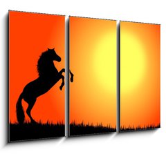 Obraz 3D třídílný - 105 x 70 cm F_BB3033451 - cavallo nel tramonto