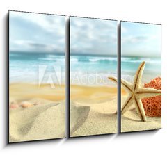 Obraz 3D tdln - 105 x 70 cm F_BB30407391 - Starfish on the Beach - Hvzdice na pli