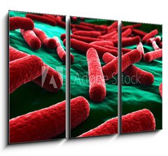Obraz 3D tdln - 105 x 70 cm F_BB30619271 - E coli Bacteria close up