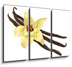 Obraz 3D tdln - 105 x 70 cm F_BB30979053 - Vanilla Bean and Flower (clipping path)