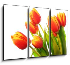 Obraz 3D tdln - 105 x 70 cm F_BB31031633 - Tulips bouquet