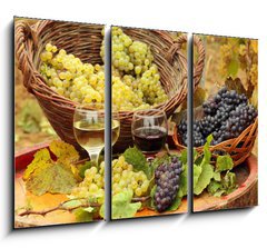 Obraz 3D tdln - 105 x 70 cm F_BB31176715 - Wine and Grapes in the Vineyard