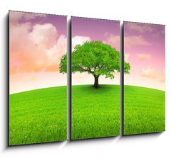 Obraz   arbre sur prairie, 105 x 70 cm
