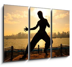 Obraz   Bruce lee in Hong kong, 105 x 70 cm