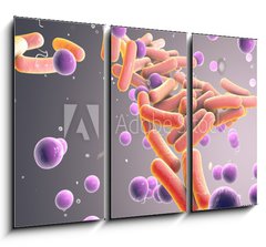 Obraz 3D tdln - 105 x 70 cm F_BB316394282 - Medicine Bacteria and virus Picture