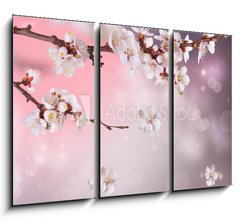 Obraz   Spring Blossom Design, 105 x 70 cm