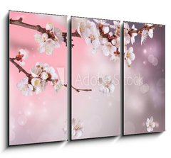 Obraz   Spring Blossom Design, 105 x 70 cm