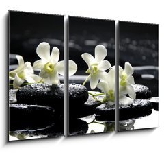 Obraz 3D tdln - 105 x 70 cm F_BB31674577 - Zen stones and white orchids with reflection