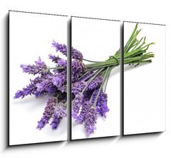 Obraz 3D tdln - 105 x 70 cm F_BB31830831 - lavender - levandule