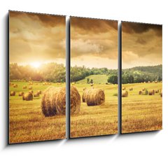 Obraz 3D tdln - 105 x 70 cm F_BB31838189 - Field of freshly bales of hay with beautiful sunset