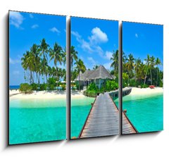 Obraz 3D tdln - 105 x 70 cm F_BB31946624 - Maldives island Panorama