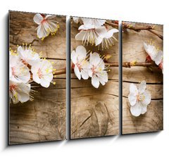 Obraz   Wood background with spring blossom, 105 x 70 cm