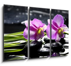 Obraz 3D tdln - 105 x 70 cm F_BB32225654 - Oriental spa with orchid with and green plant on zen stones