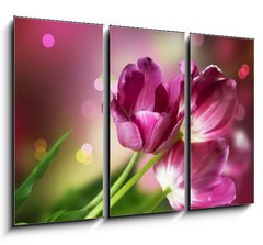 Obraz 3D tdln - 105 x 70 cm F_BB32246148 - Flowers. Anniversary Card Design - Kvtiny. Design vro