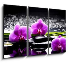 Obraz 3D tdln - 105 x 70 cm F_BB32250117 - Spa still life with set of pink orchid and stones reflection