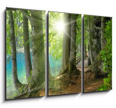 Obraz 3D tdln - 105 x 70 cm F_BB32267229 - Sonnenschein im Wald neben klarem See