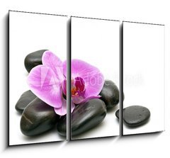 Obraz   Pink orchid and zen Stones on a white background, 105 x 70 cm