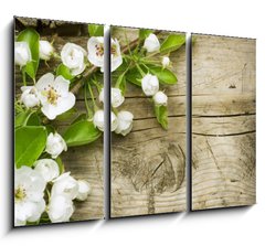 Obraz   Spring Blossom over wooden background, 105 x 70 cm