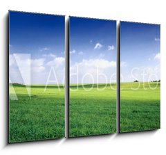 Obraz 3D tdln - 105 x 70 cm F_BB3256956 - russia summer landscape - green fileds, the blue sky and white c