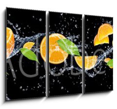 Obraz 3D tdln - 105 x 70 cm F_BB326799222 - panorama of fruits in water on a black background