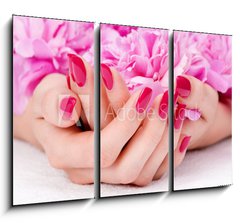 Obraz   Woman cupped hands with manicure holding a pink flower, 105 x 70 cm