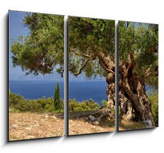 Obraz 3D tdln - 105 x 70 cm F_BB33058349 - Griechische Inseln