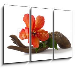 Obraz 3D tdln - 105 x 70 cm F_BB33085231 - Red hibiscus on a wooden hand statuette