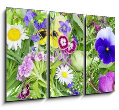 Obraz 3D tdln - 105 x 70 cm F_BB33239729 - Abstract June plants and flowers background - Abstrakt erven rostliny a kvtiny pozad