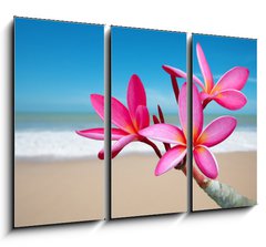 Obraz 3D tdln - 105 x 70 cm F_BB33453056 - Plumeria flowers on the beach