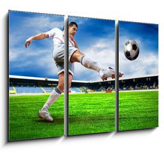 Obraz 3D tdln - 105 x 70 cm F_BB33670525 - Happiness football player after goal on the field of stadium wit