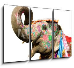 Obraz 3D tdln - 105 x 70 cm F_BB33964152 - hand painted elephant profile, Jaipur, Rajasthan,India