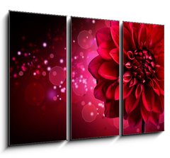 Obraz   Dahlia Autumn flower design, 105 x 70 cm