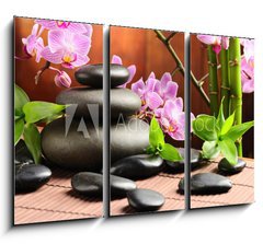 Obraz   Spa concept, 105 x 70 cm