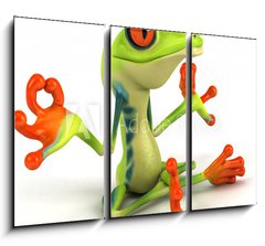 Obraz 3D tdln - 105 x 70 cm F_BB34469495 - Grenouille zen