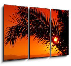 Obraz 3D tdln - 105 x 70 cm F_BB3480088 - palm tree during sunset