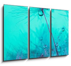 Obraz 3D tdln - 105 x 70 cm F_BB348565950 - Parachute seed from a dandelion on a blue background