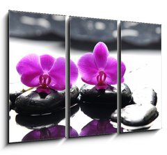 Obraz 3D tdln - 105 x 70 cm F_BB34882612 - Two orchid and black stone with reflection