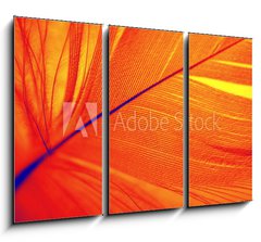 Obraz 3D třídílný - 105 x 70 cm F_BB3490095 - phoenix feather